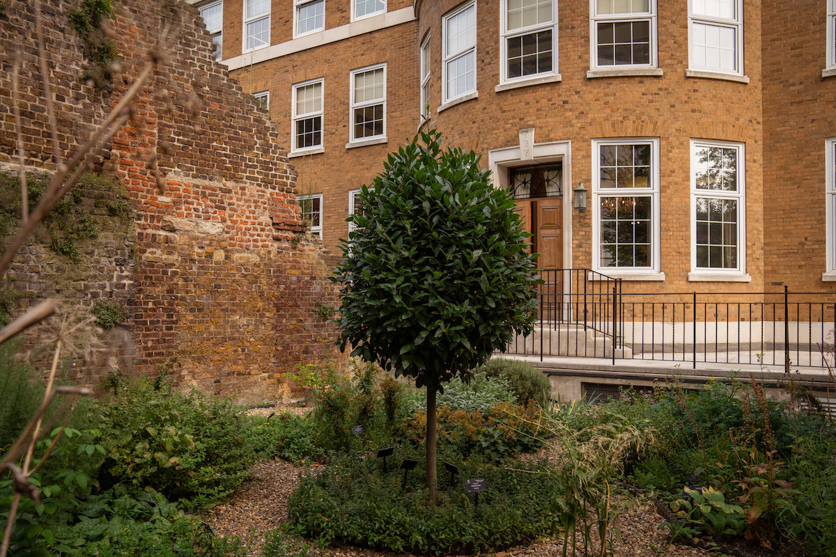 Terrace and Garden